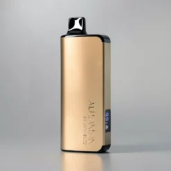 Alibarbar Ingot 9000 Kulta Ei Ladattava 22ml LED-näyttö